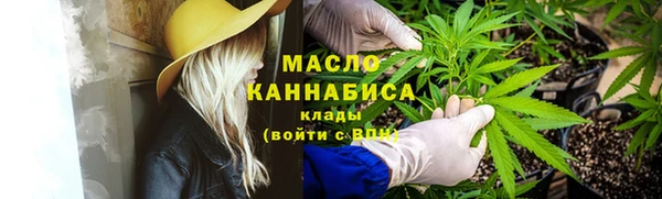 mdpv Инта