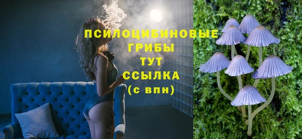 mdpv Инта